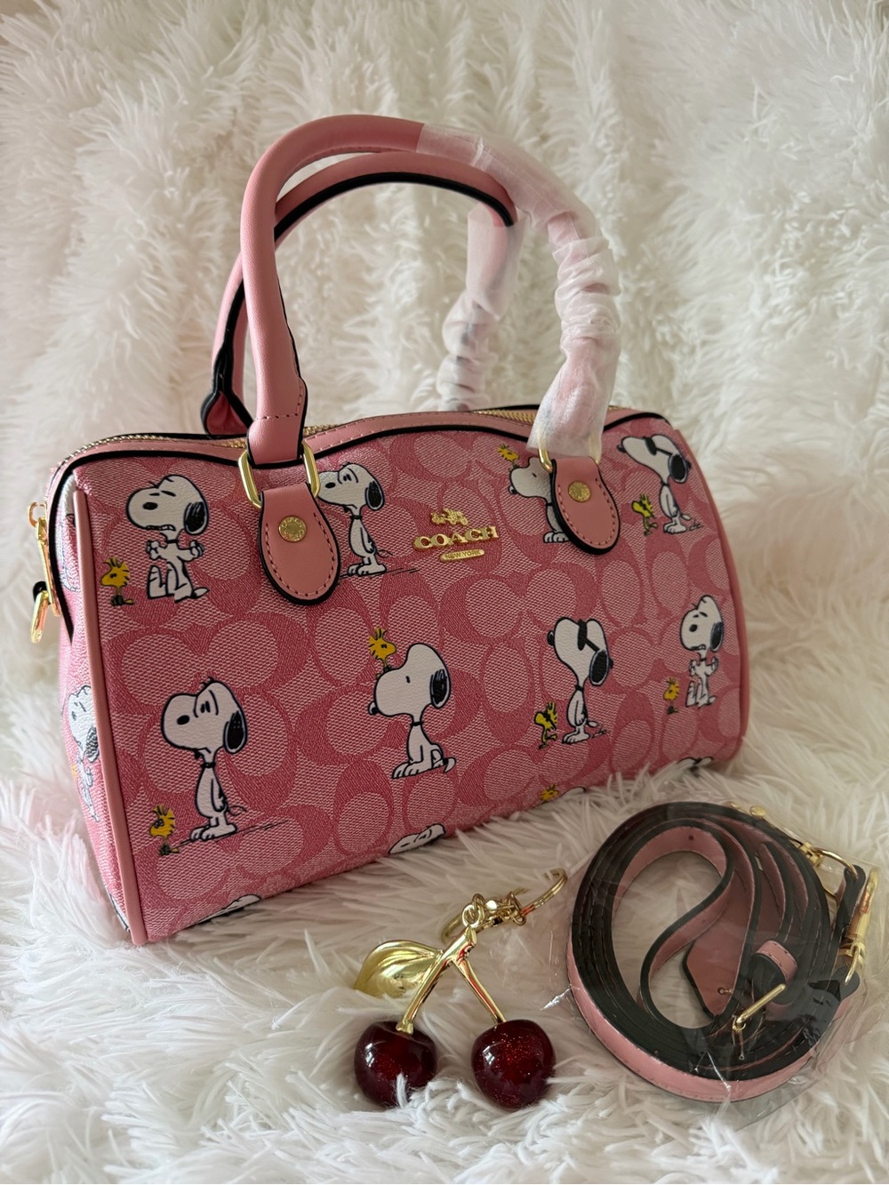 NWT Kawaii Cat Straw Tote Bag Brown Handles Plaid Appliqué Peanuts
